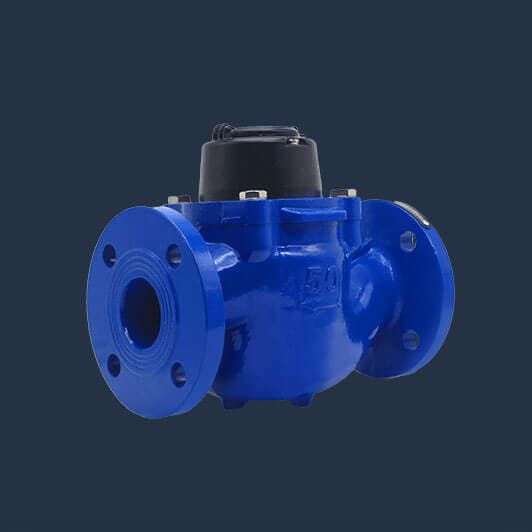 Woltman Water Meter