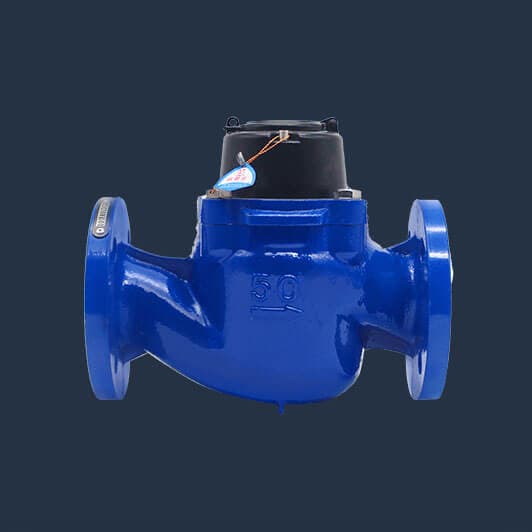 Woltman Water Meter